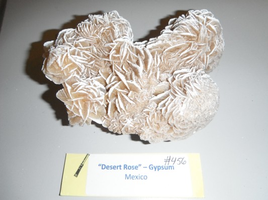 2011_1119_133253AA.JPG