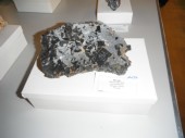 2011_1119_132949AA.JPG