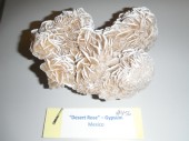 2011_1119_133253AA.JPG