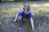 IMG_9838.JPG