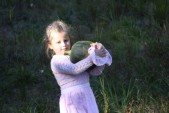 IMG_9867.JPG