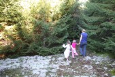 IMG_9987.JPG