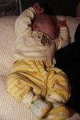 IMG_4095.JPG